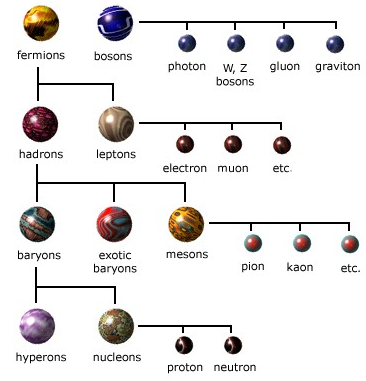 taxonomic classification