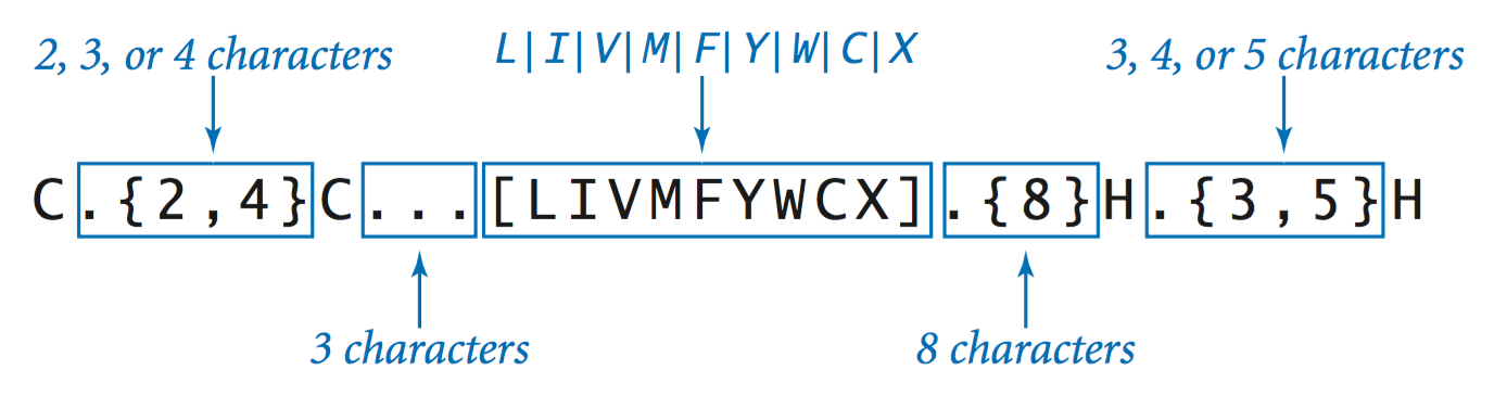 anatomy of a generalized regular expression